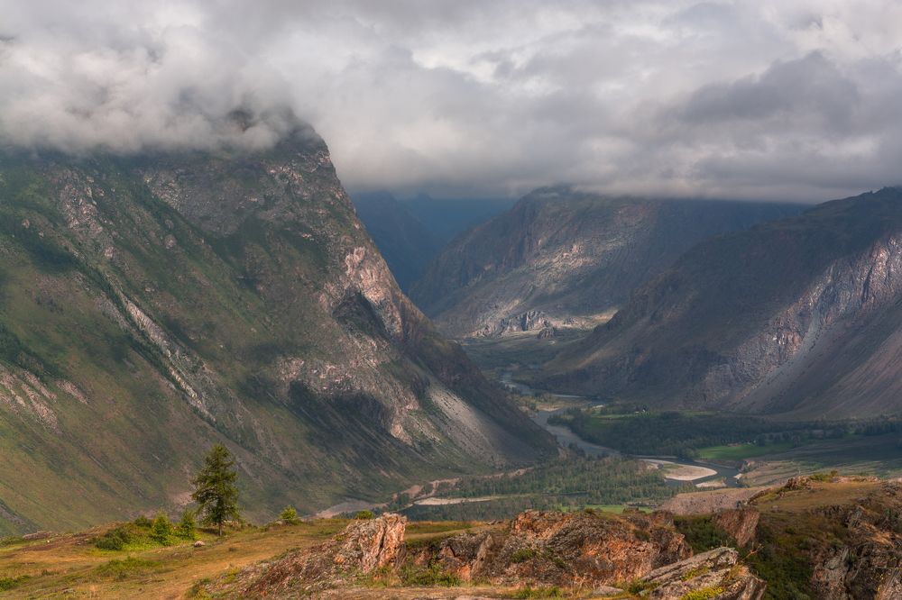 Туман над долиной