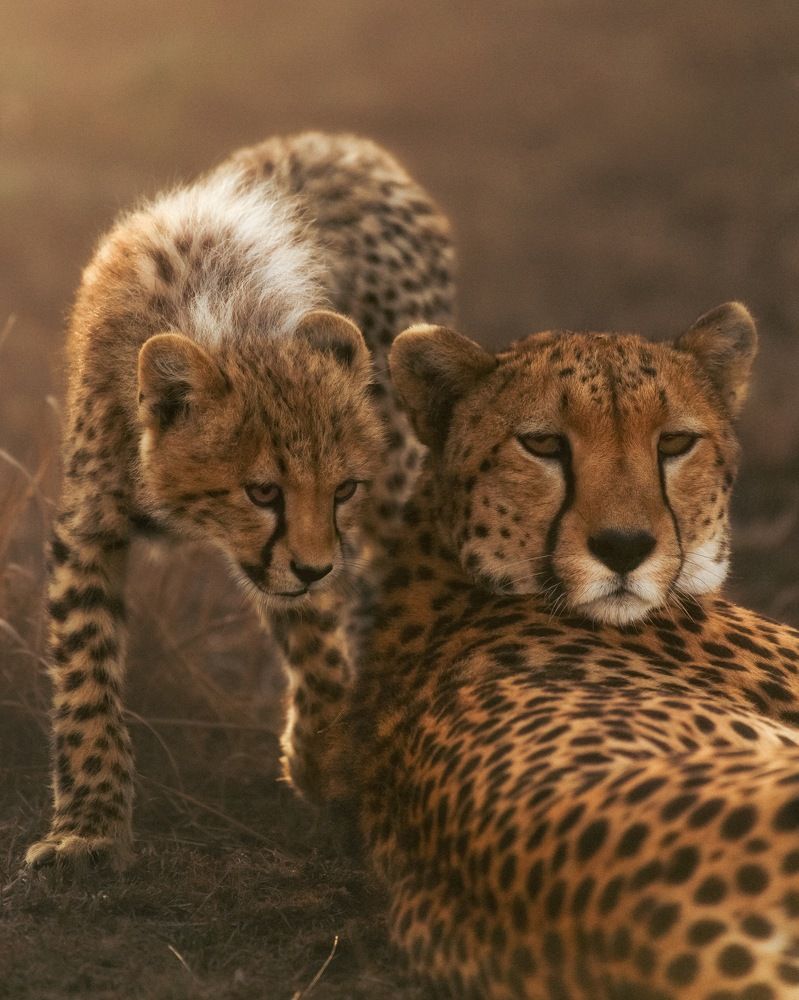 Photograph by venkateshwar govindaraj