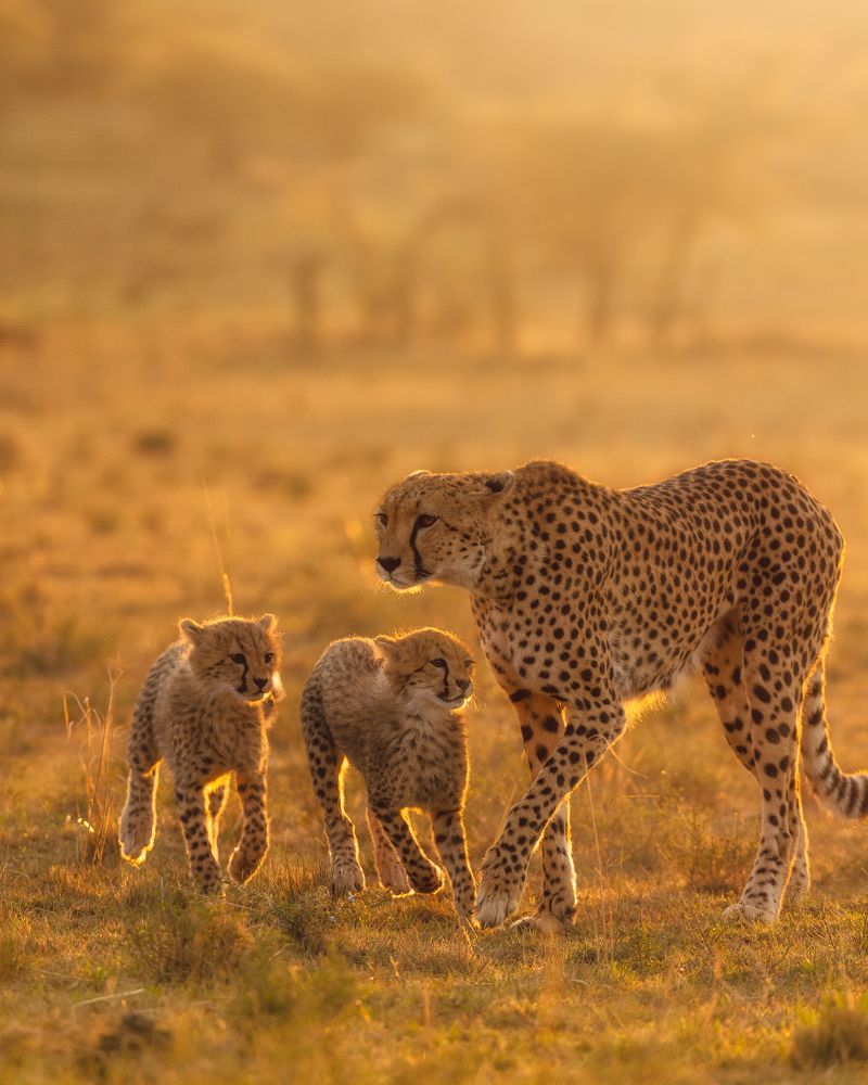 Photograph by venkateshwar govindaraj