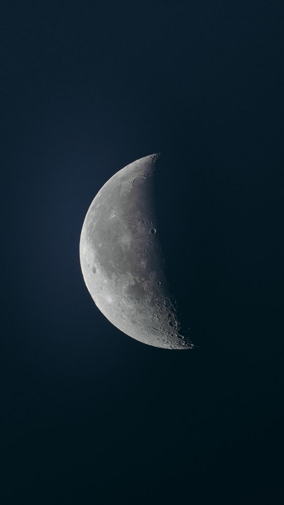 Photograph by so pure • so cold