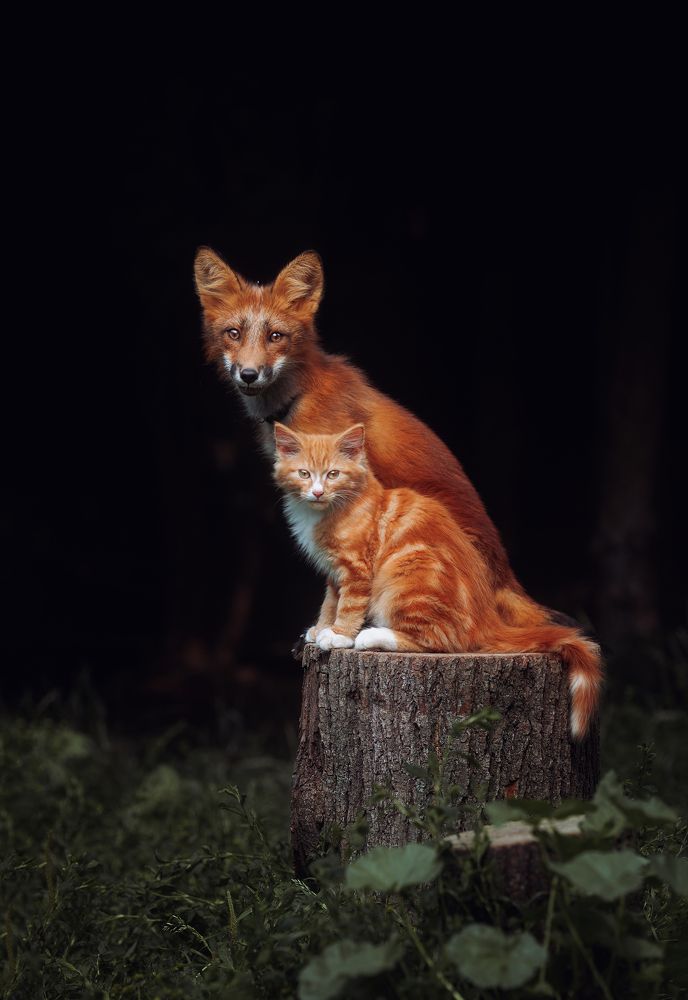 Photograph by Anna Yarkova