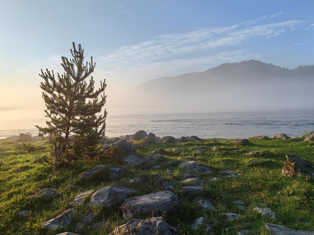 Каменистый берег