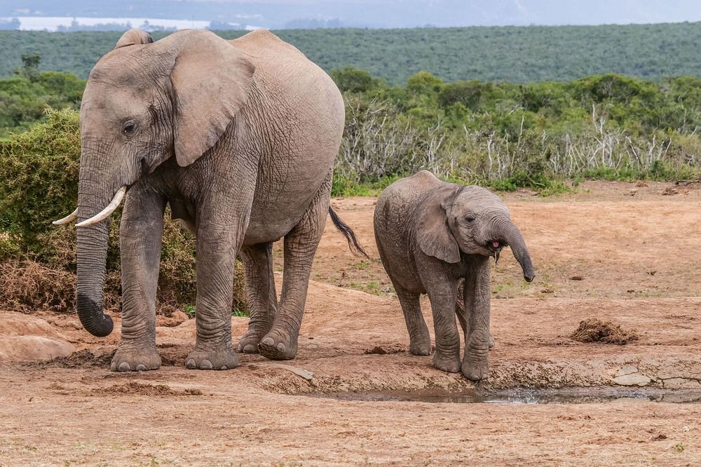 Photograph by Victor Belokrinitski