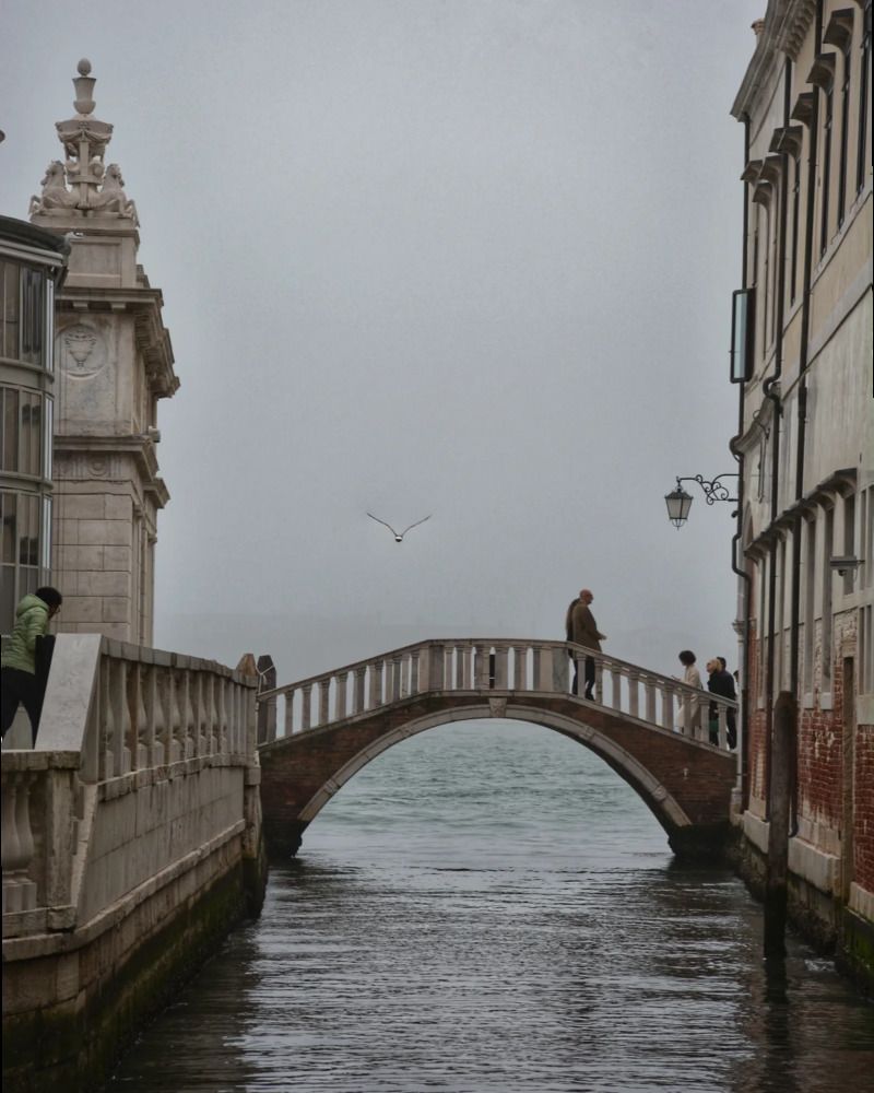 Фотография автора ANNA ILICHEVA