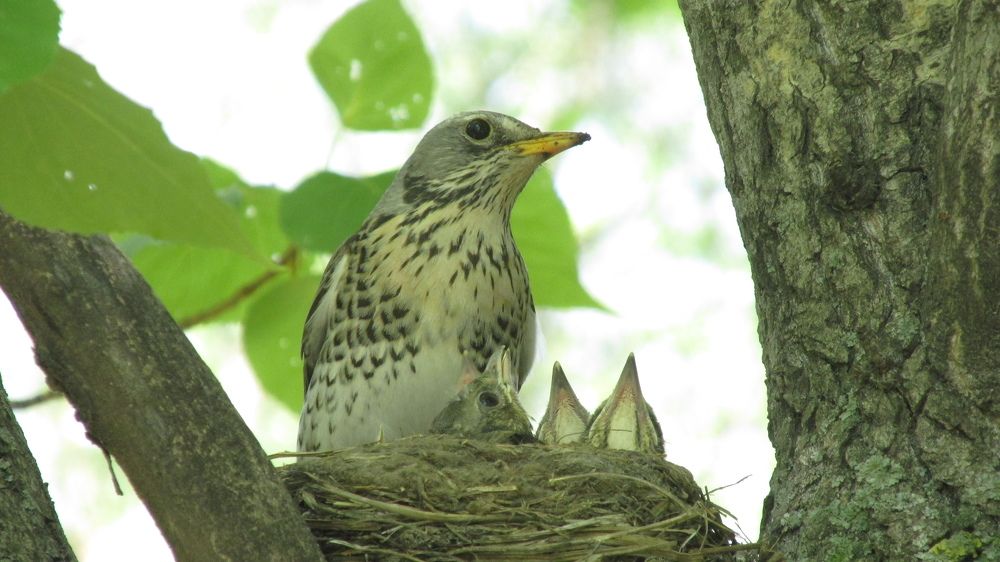 Photograph by Аlessandro