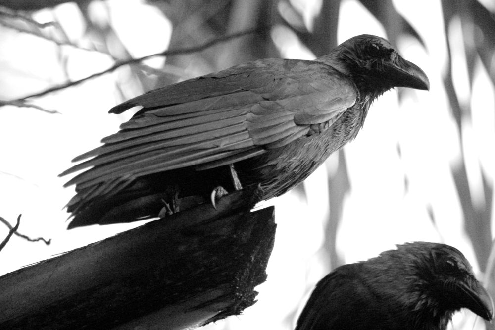 Photograph by Paramantham Thusyananthan