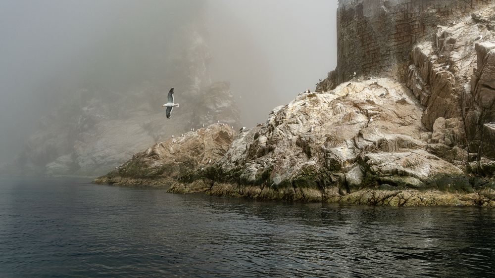 Фотография автора Дмитрий Потапов
