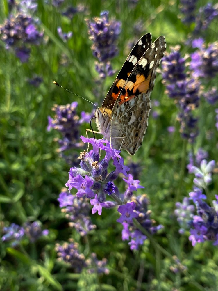 Photograph by Оксана Михайлова