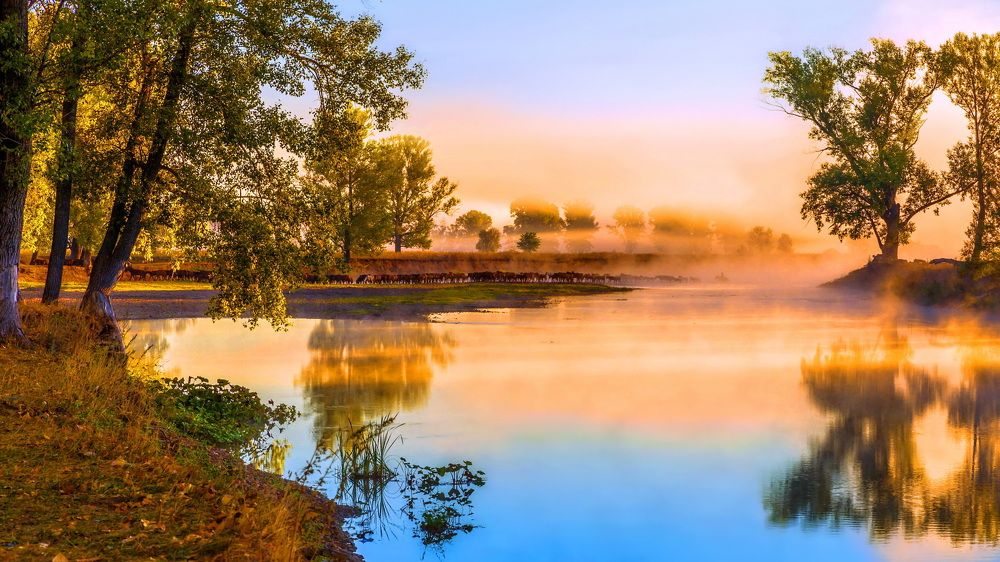 Photograph by Владимир Акиньшин