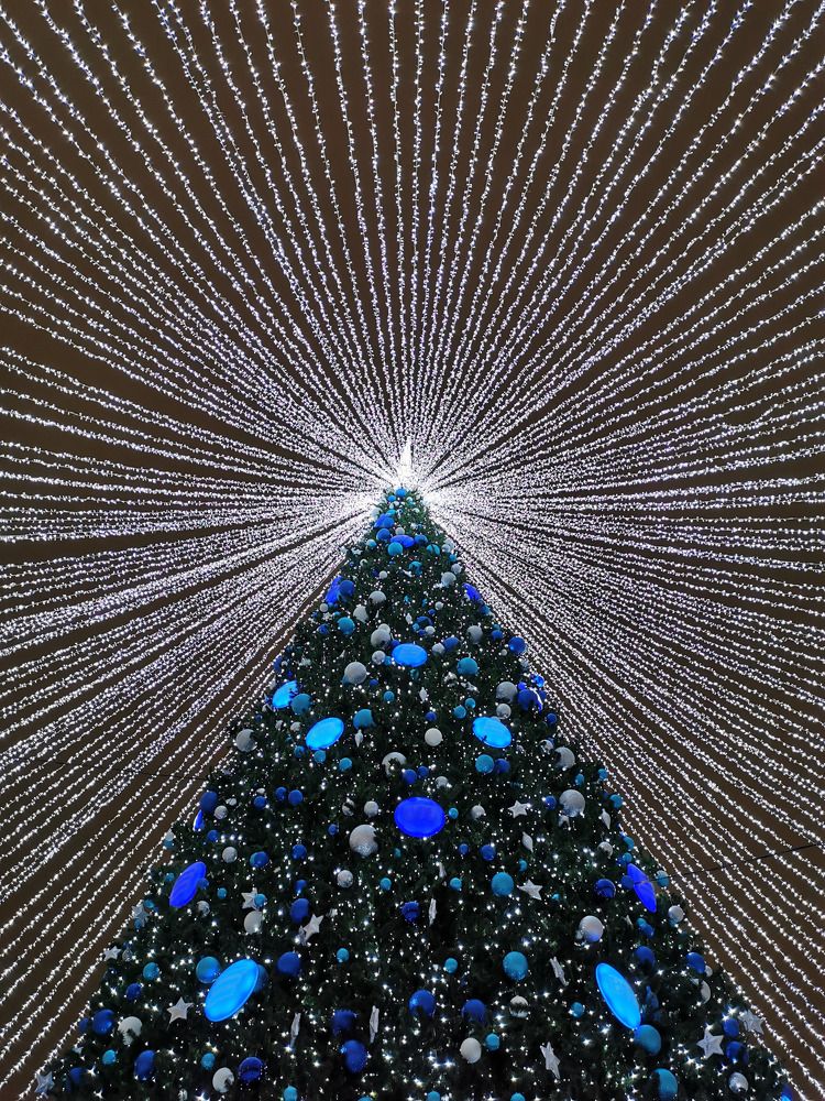 Photograph by Виктория Галиева