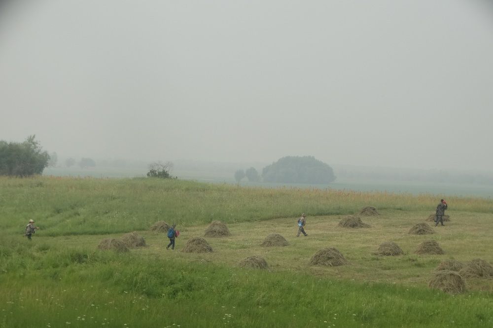 Photograph by Марина Ноговицына