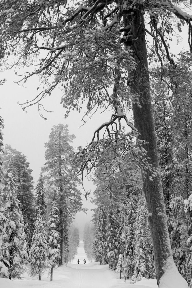 Photograph by Лада Денисова