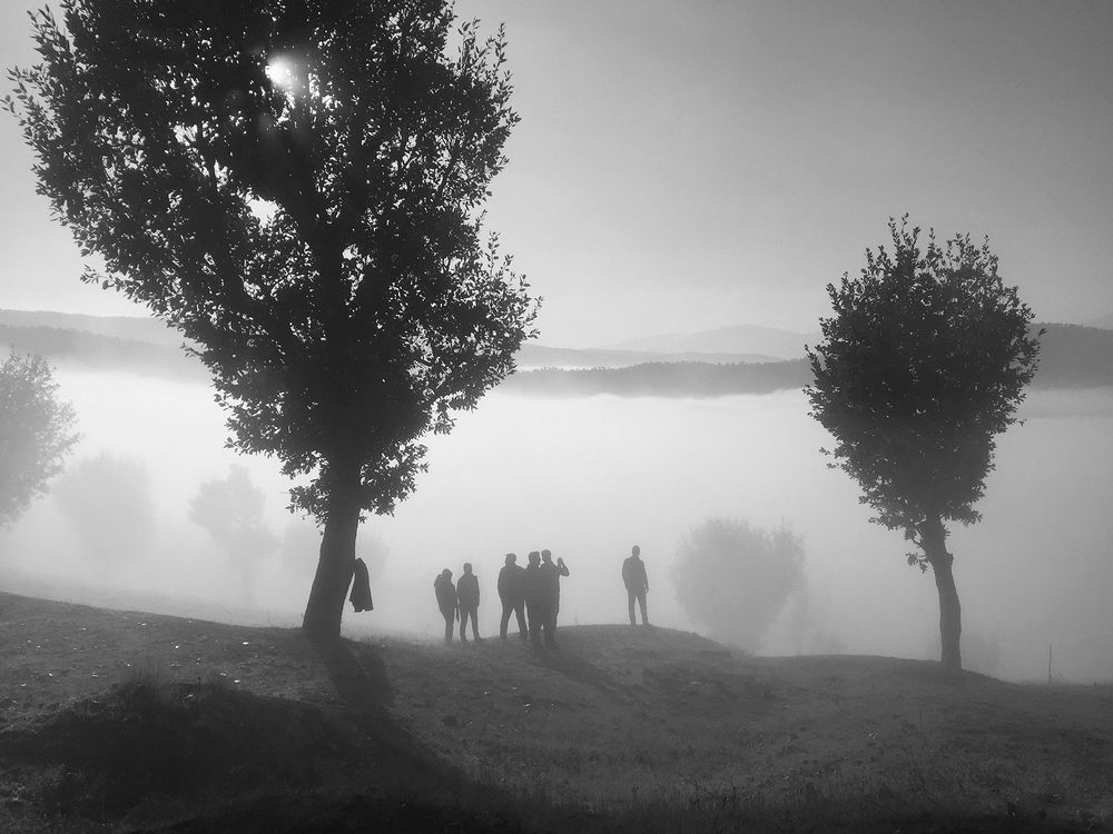 Photograph by Omid mohammadi
