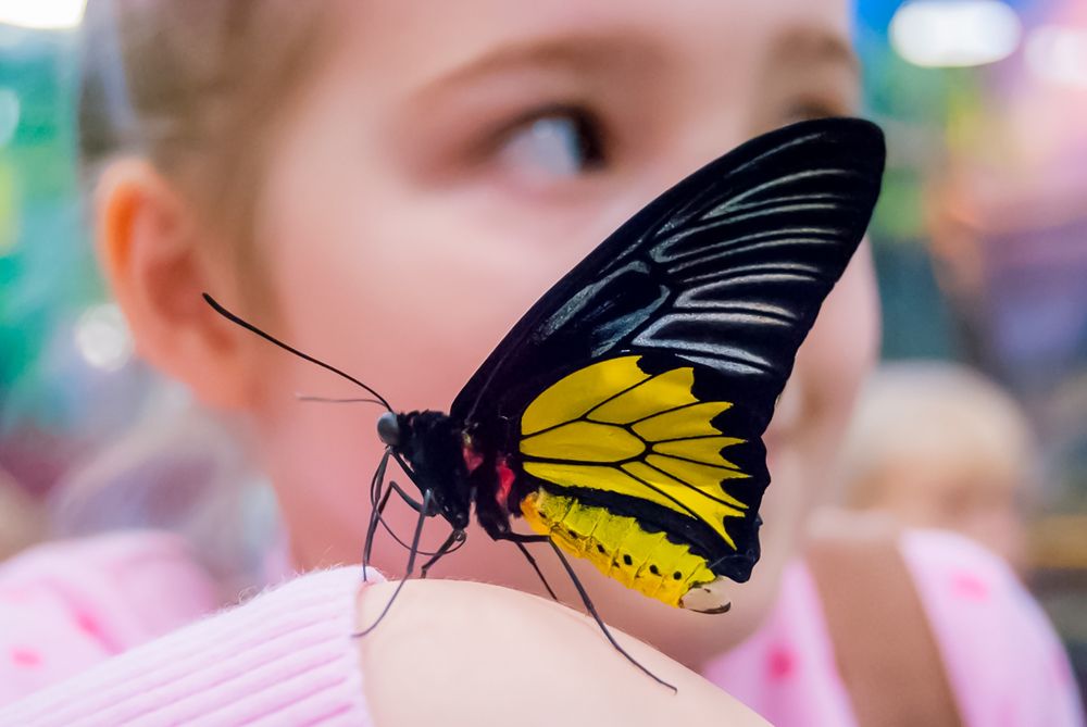 Фотография автора Татьяна Грунтович