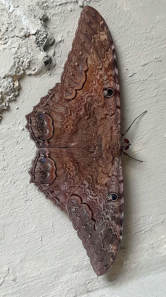 Photograph by Marie G