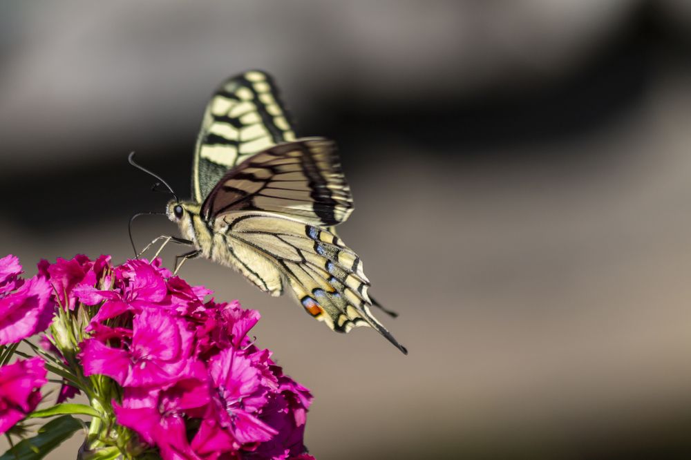 Photograph by Ольга Крючкова