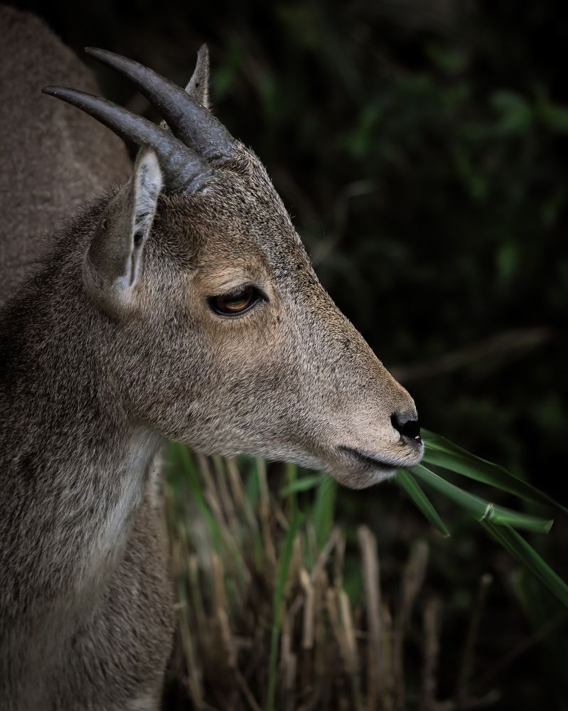 Photograph by Gokula prasath