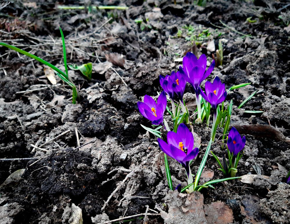 Photograph by Надежда Аксенова