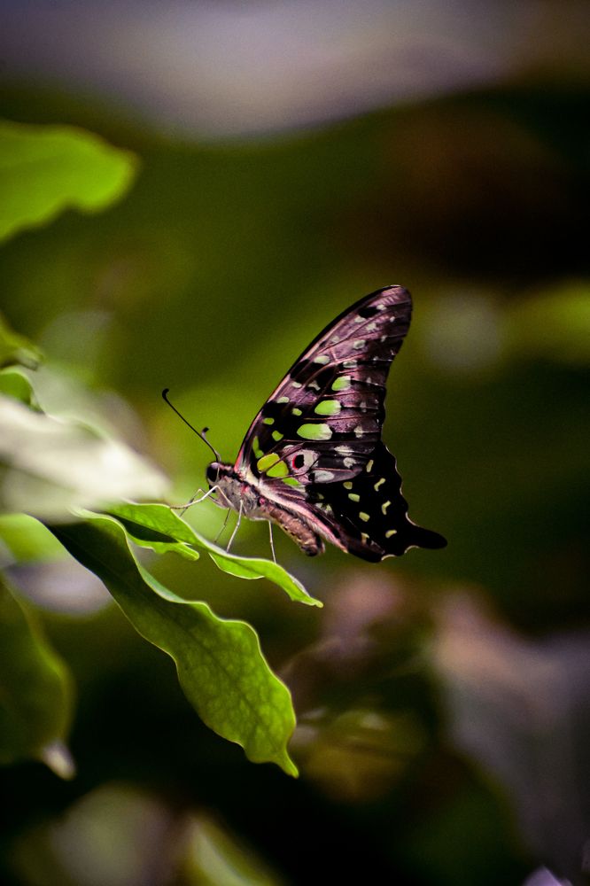 Photograph by Kriti Aggarwal