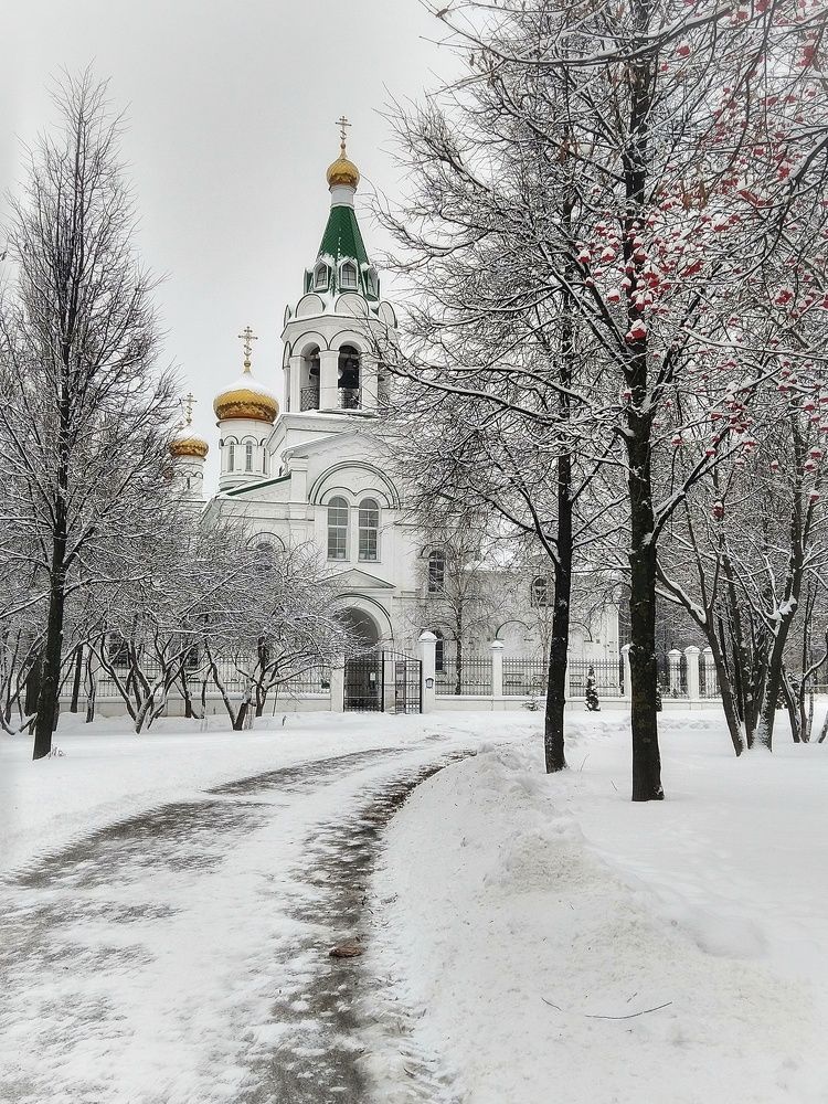 Photograph by Елена Силантьева