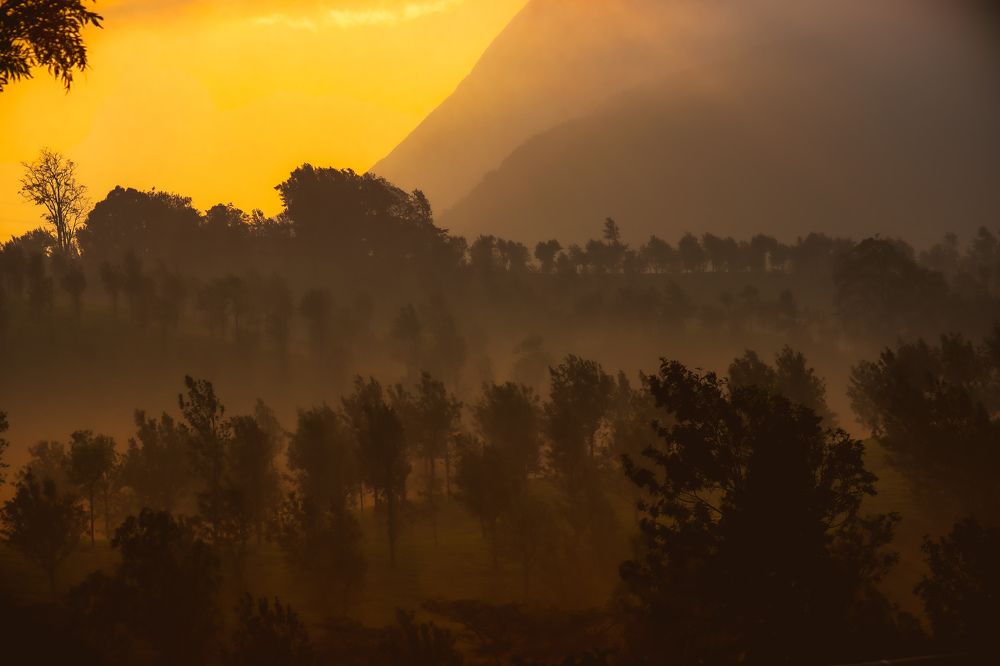 Photograph by Gokula prasath