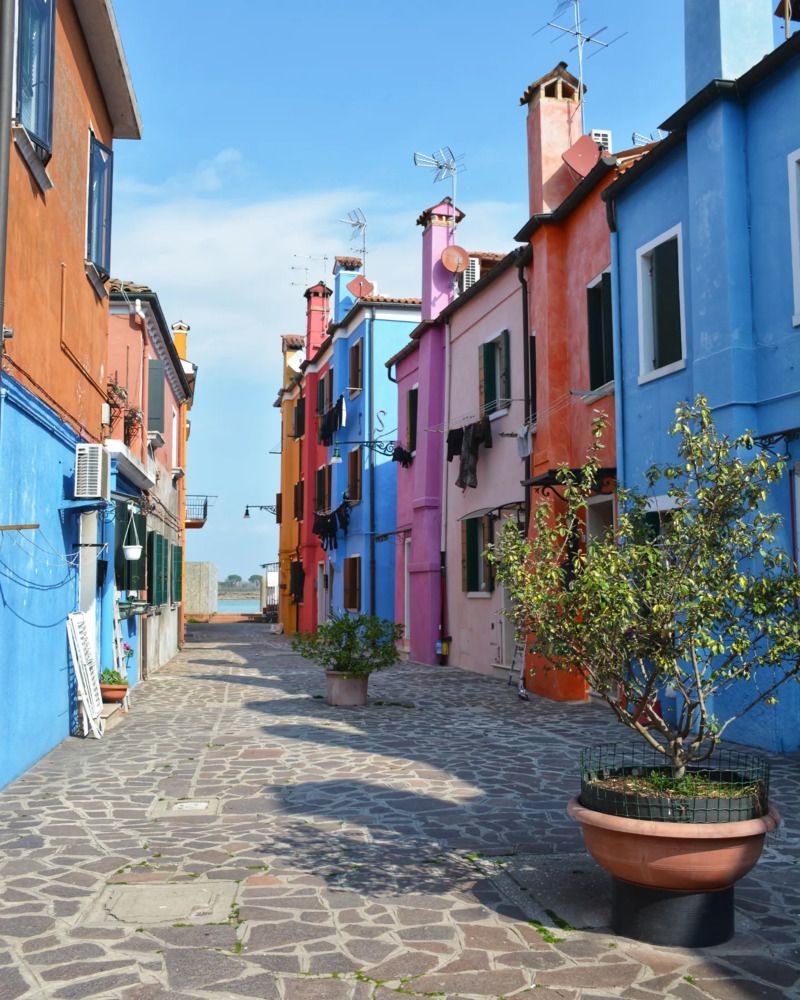 Фотография автора ANNA ILICHEVA