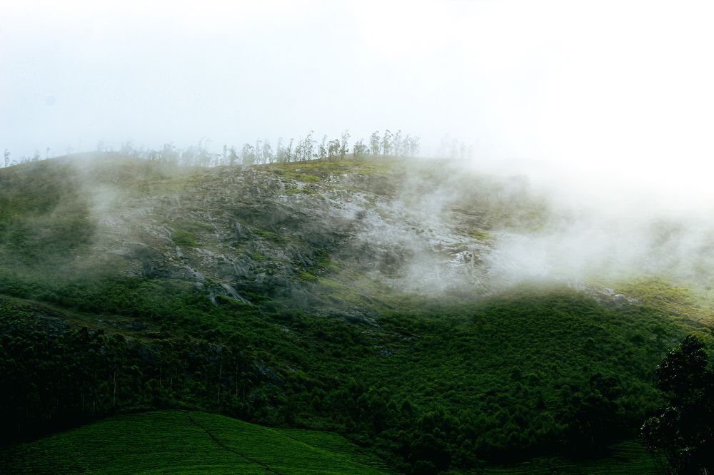 Photograph by Gokula prasath