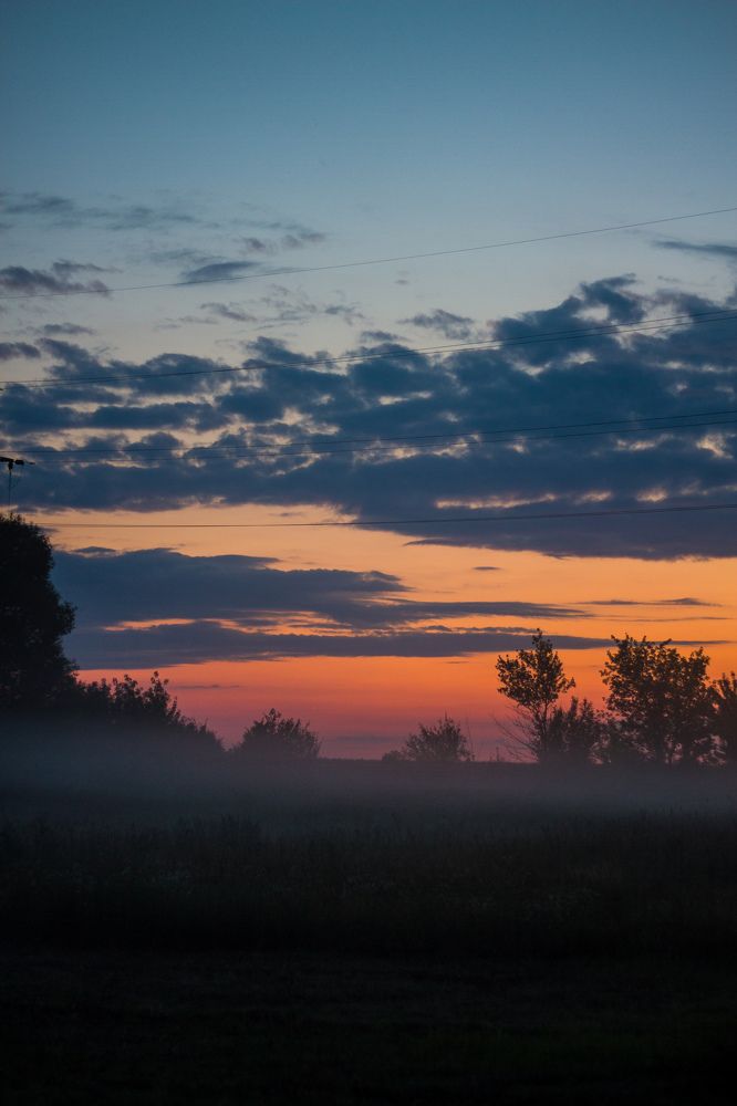 Фотография автора Софья Алексеева
