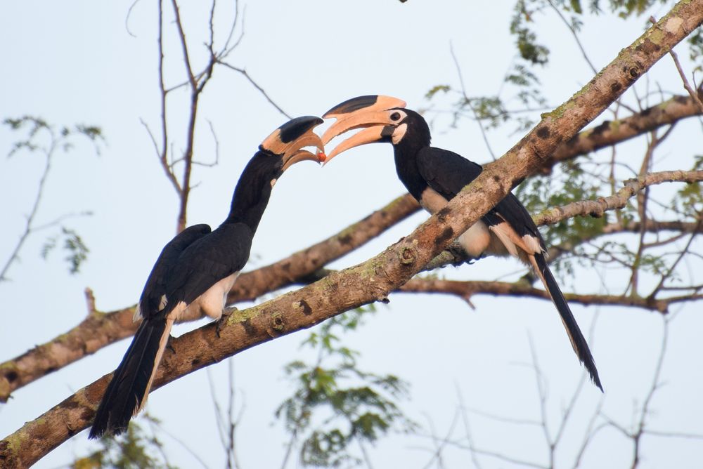 Photograph by Thinesh Manivannan