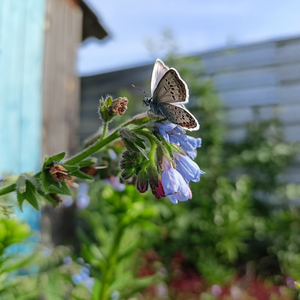 Photograph by Анастасия Горбачева
