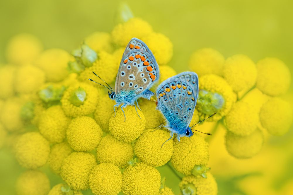 Photograph by Arina Bogachyova