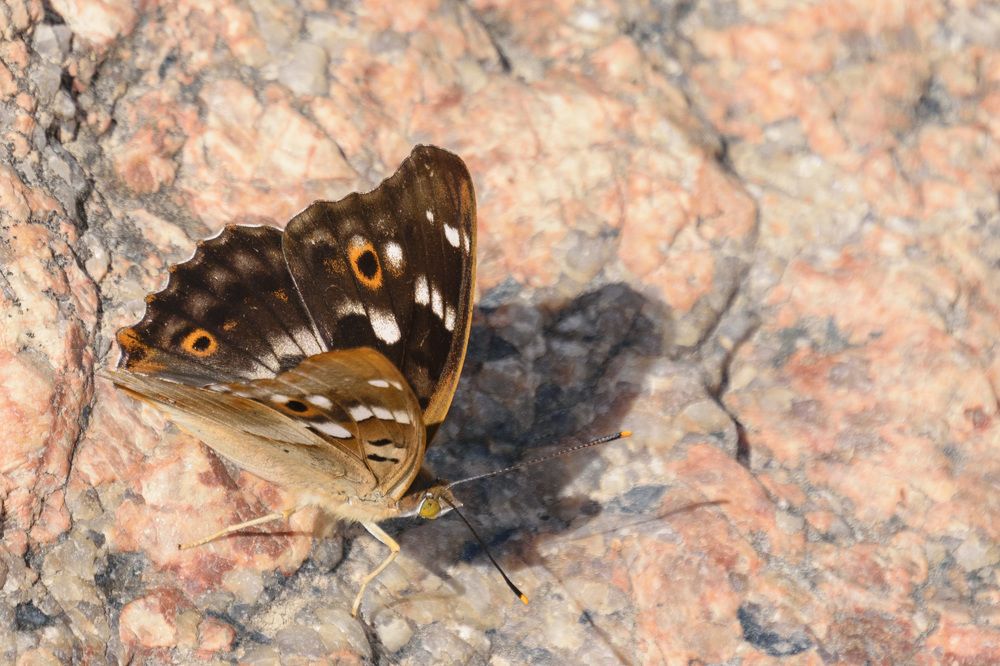 Photograph by Лилия Кондратьева