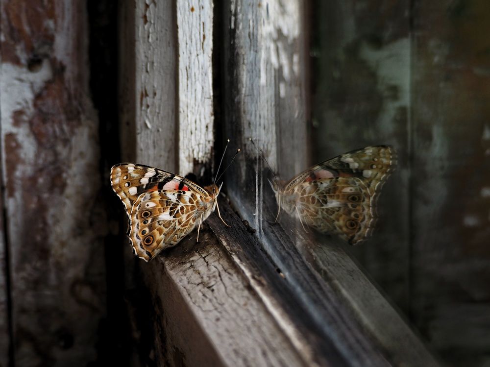 Photograph by Бакшеева Марина