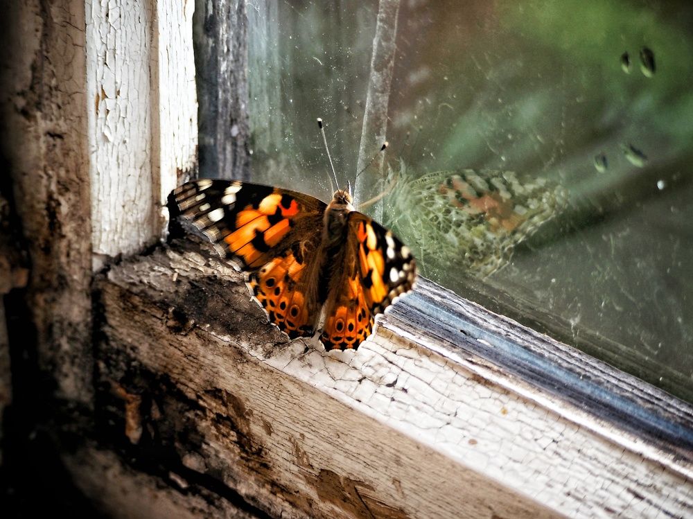 Photograph by Бакшеева Марина