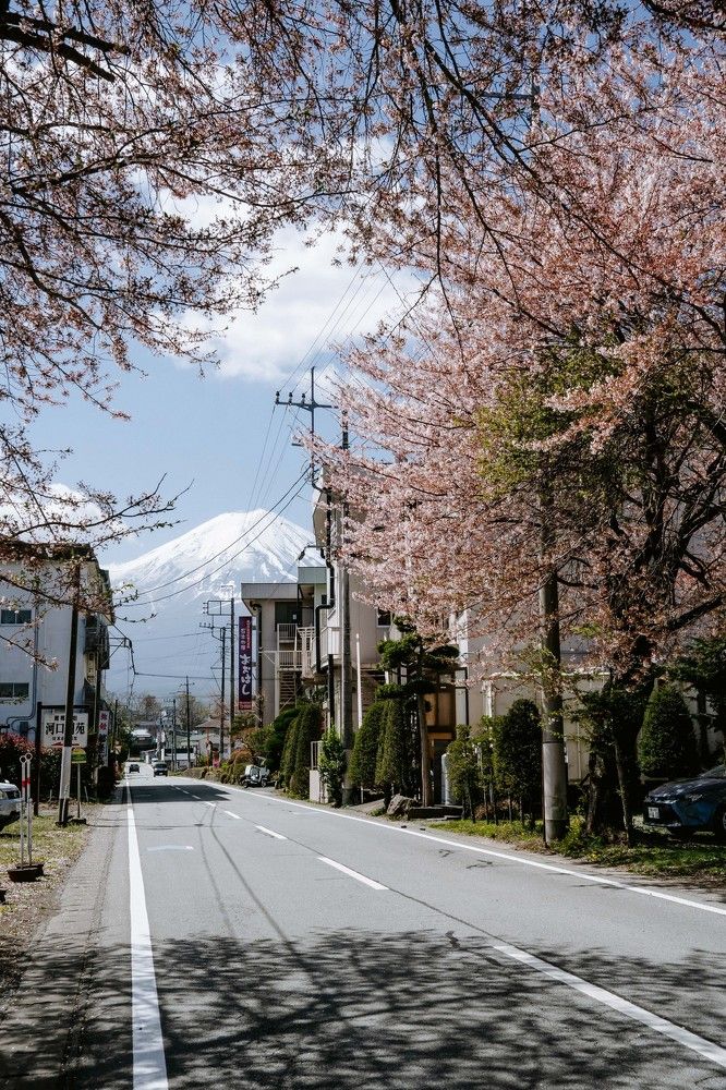 Фотография автора Наталья Барова