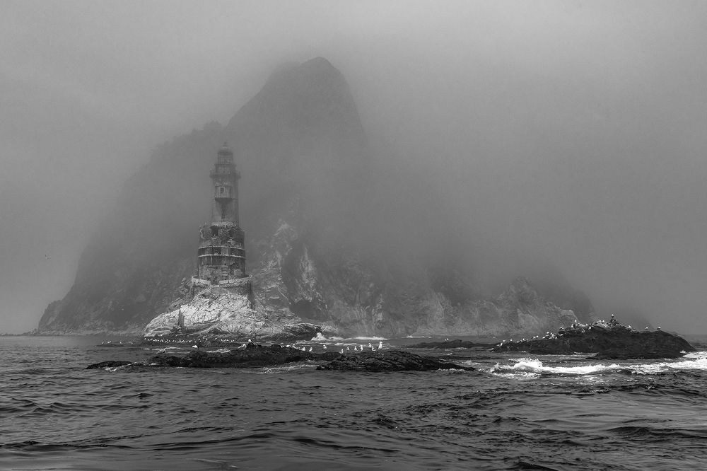 Фотография автора Дмитрий Потапов