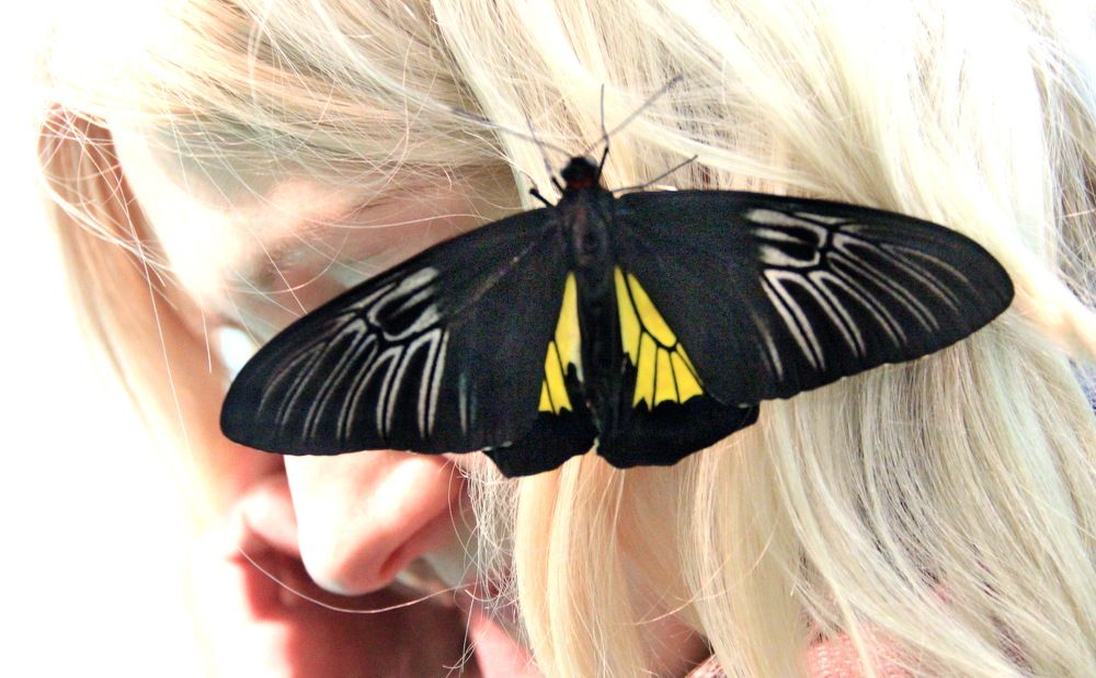 Photograph by Лада Денисова