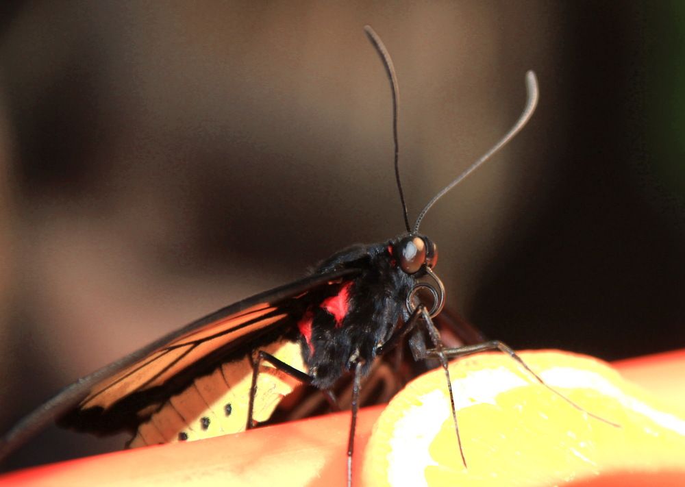 Photograph by Лада Денисова