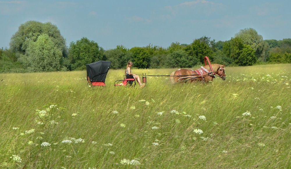 Photograph by Екатерина Казарцева