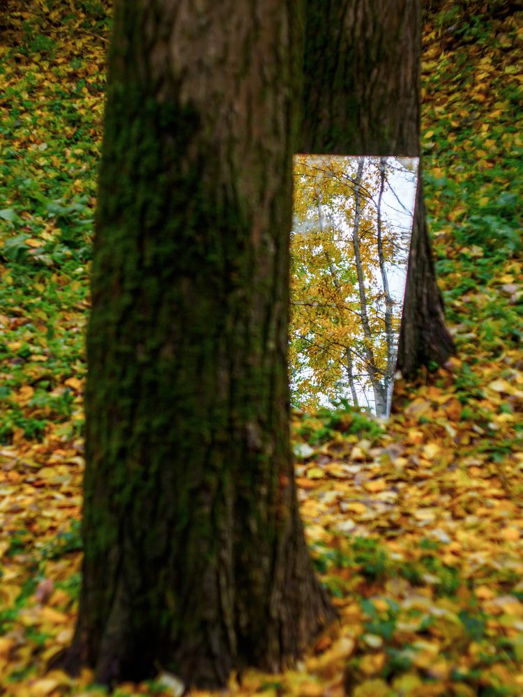 Photograph by Андрей Егоров