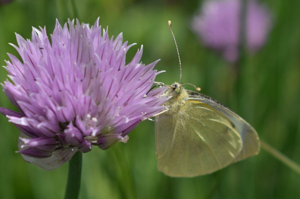 Photograph by Наталья Еременко