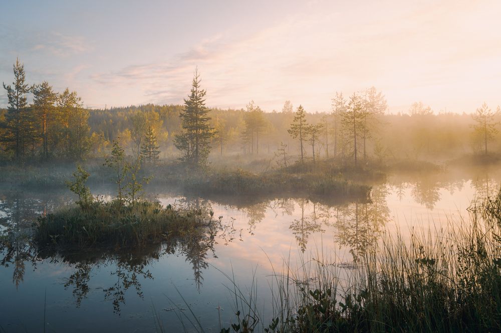 Туманный рассвет