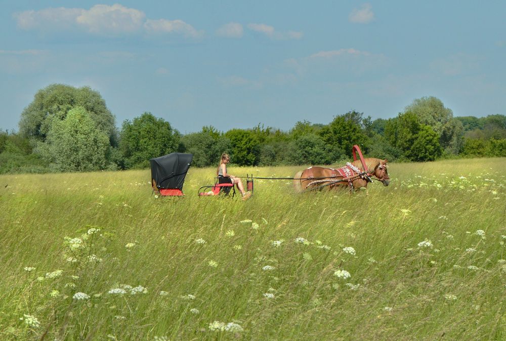 Photograph by Екатерина Казарцева