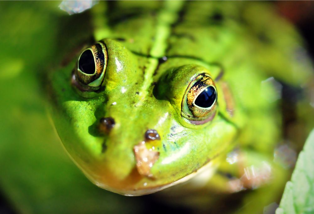 Photograph by Евгений