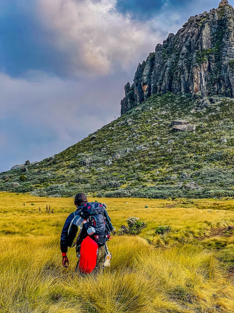 Photograph by Antony Trivet