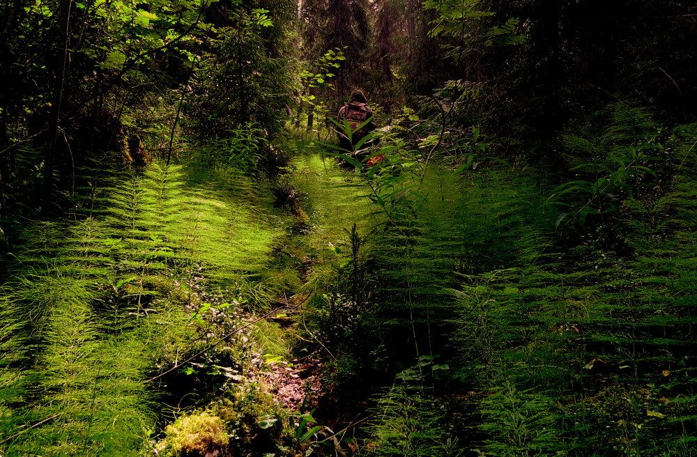 Photograph by Екатерина Филина