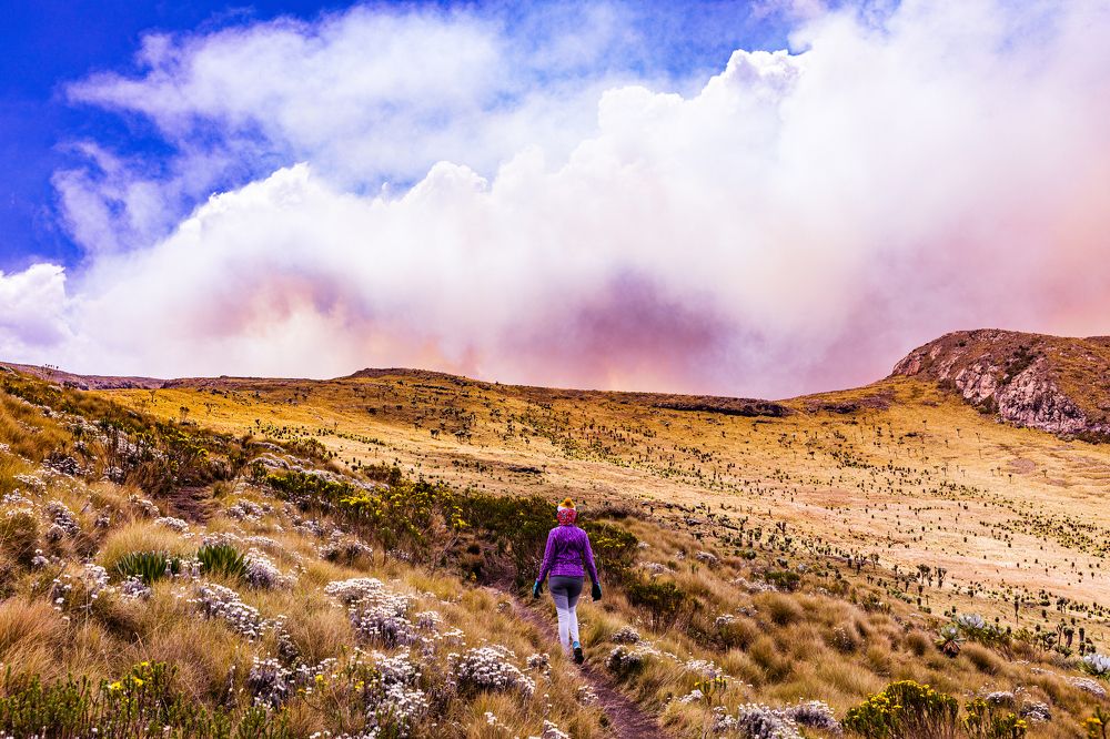 Photograph by Antony Trivet