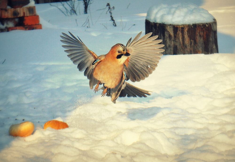 Photograph by Евгений