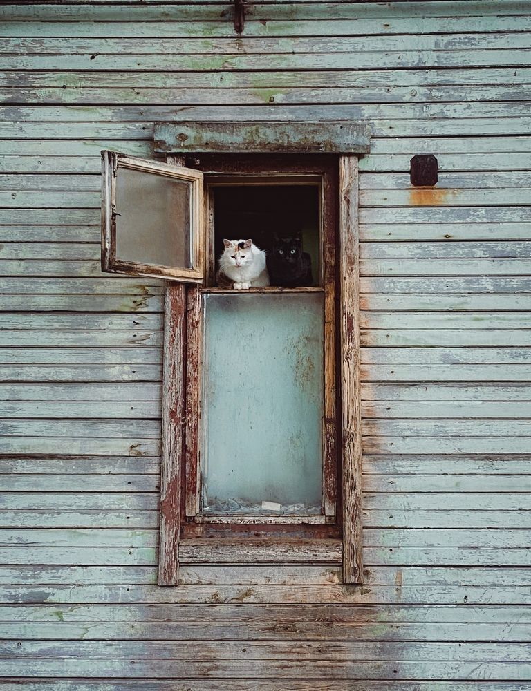 Photograph by Анна