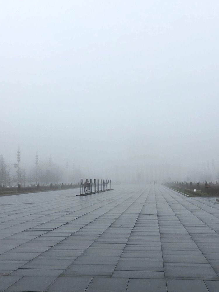 Photograph by Елена